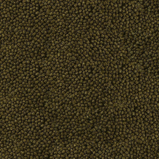 Sera Koi Farb Mini Fischfutter für Süßwasserfische in Granulat mit Spirulina 3800ml