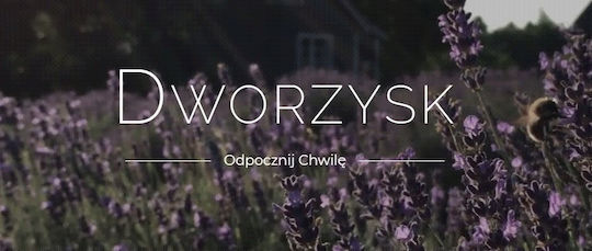 Dworzysk Tea 50gr