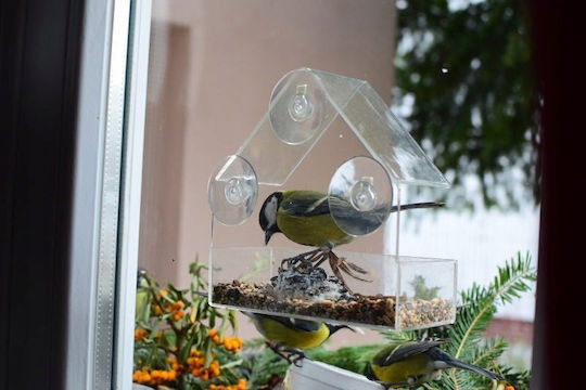 Garden&fun Transparent Acrylic Bird Feeder Window 14.8x6.7x15.5cm Suction Cups