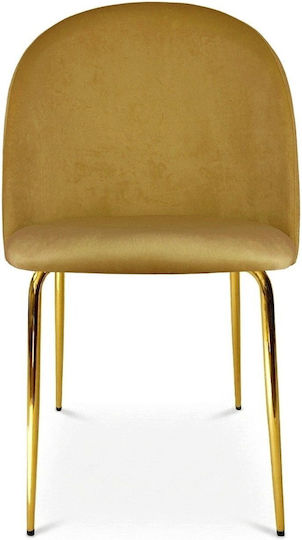 Inca Dining Chair Inca Dining Chair