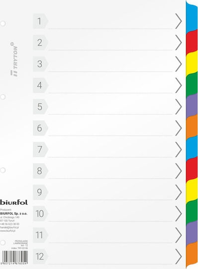 Biurfol Dosar Pentru Hârtie A4 Multicolor 12 Bucăți