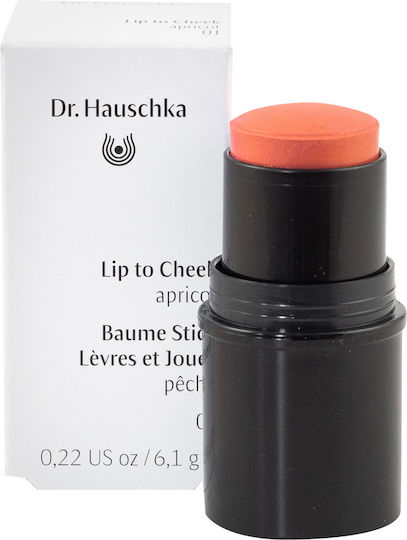 Dr. Hauschka Stick Ρουζ 01 Apricot 6.1gr