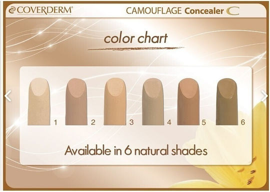 Revers Cosmetics Camouflage Corrector Flüssiger Abdeckstift 10ml