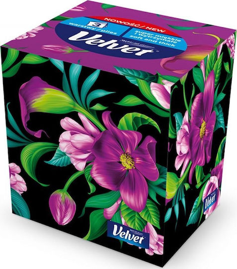 Velvet Wepa Gesicht Papiertaschentücher 3 Lagen 60 Packungen