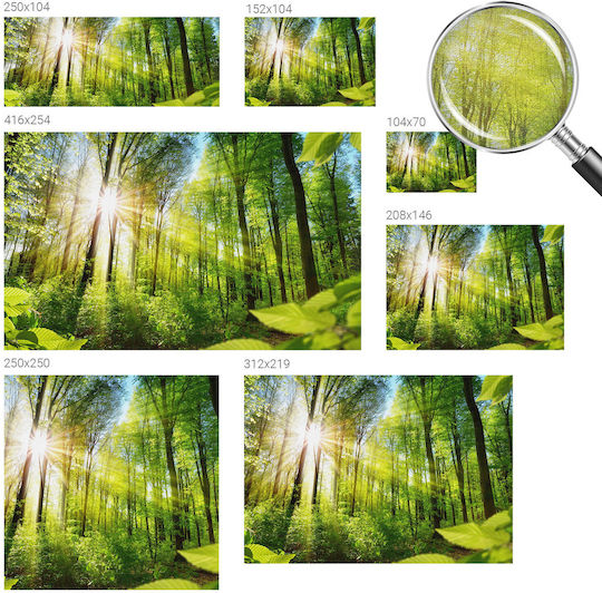 Tapet Autocolant De Perete 208x146cm