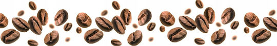 Espresso Arabica Kaffee Brasilien Bär Schokolade in Körner 250g