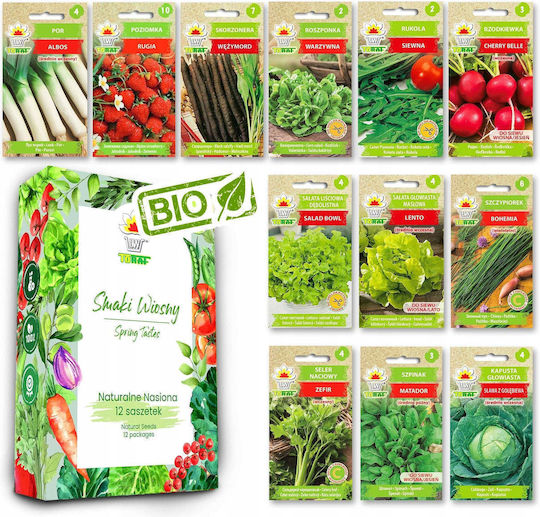 Toraf Seed Set Set 4x5 2024 Toraf 60x1pcs