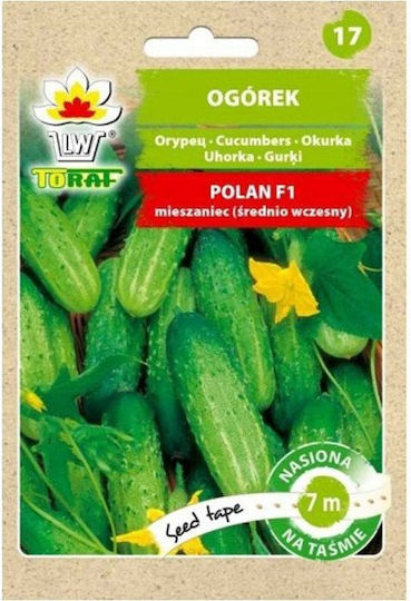 Toraf Pnos Samen Film Gurke Polan F1 Film 6m