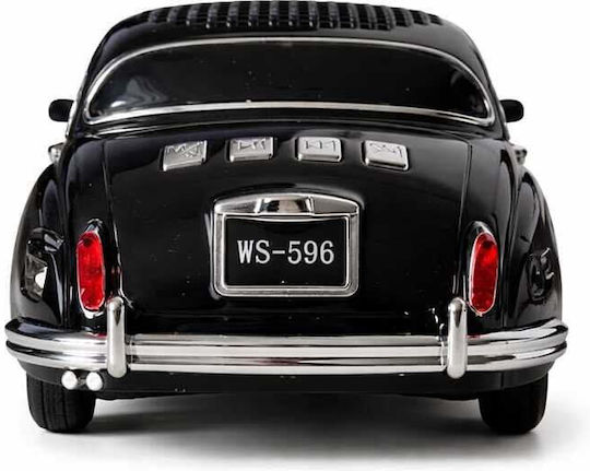 WSTER WS-596 Boxă Bluetooth 20W cu Radio și Durata Bateriei până la 2 Ore Neagră