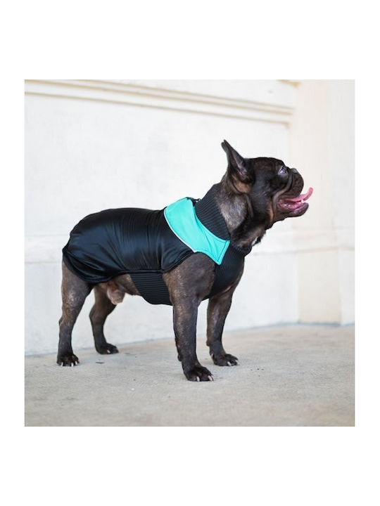 Chaba Magnifique Verstellbare Hundemantel `s` 29-34cm Luxus Grünes
