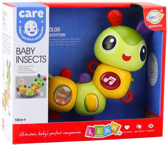 Lean Toys Sensorisch Käfer mit Musik