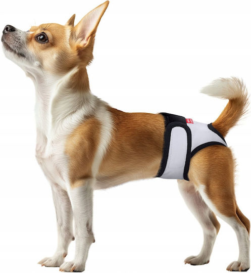 WauDog Dog Panties XSmall 1pc