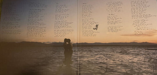 Conan Gray Wishbone Deluxe Vinyl