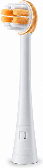 Ranvoo Резервни части за PH3BHTEENAGER 1бр