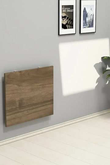 Birou 60x50 cm Nuc