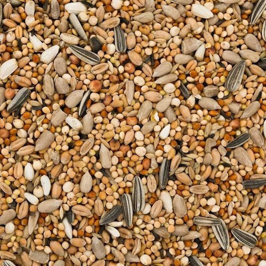 Garden&Fun Τροφή για Πτηνά 1kg
