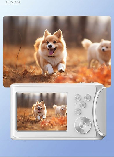 Xrec Q18 Kompaktkamera 64MP Optischer Zoom 18x Rosa