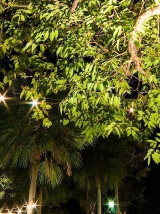 Eco Light Waterproof LED Garland Lights 10m with 10 Bulbs