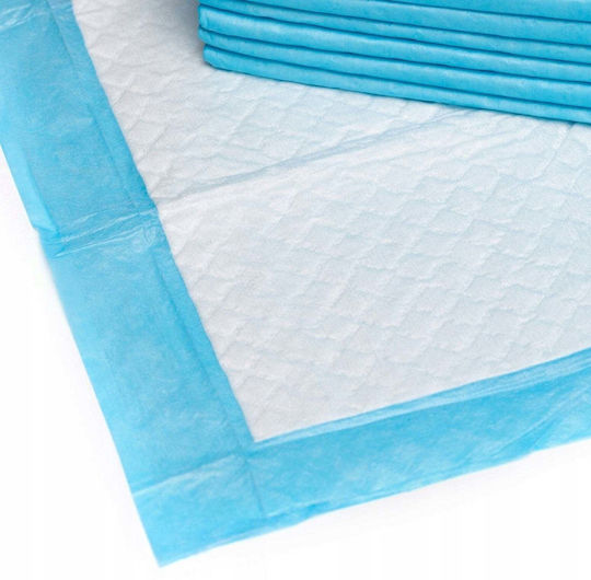 Floor Dog Diapers 45x33cm 100pcs