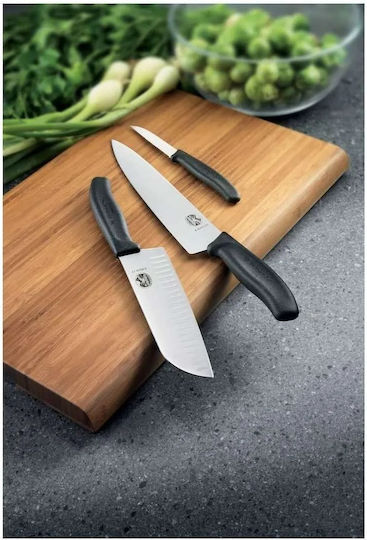 Victorinox 67731 Victorinox 67731