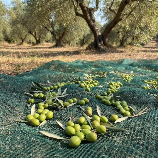 Kraft World Olive Sail from HDPE 8x14m Density 95gr/m²