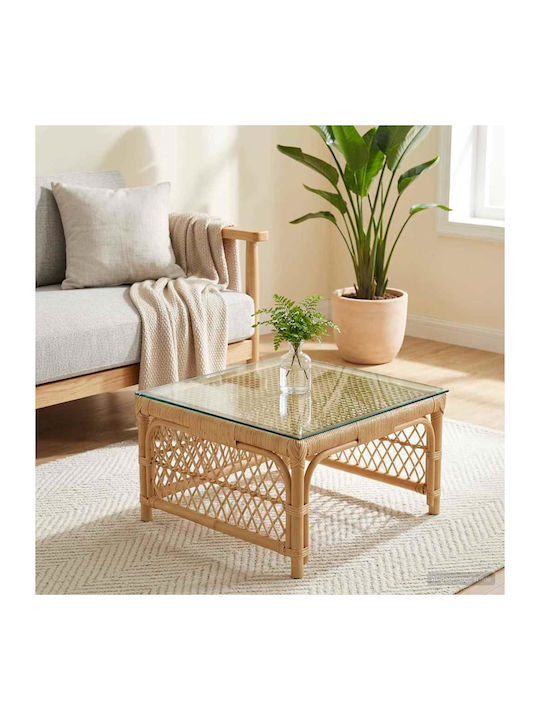 vidaXL Table Surface made of Glass Transparent 30x30cm 345070 1pcs