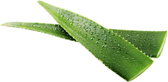 Lavera Sensitiv Licht Herren Creme Gesicht Tag mit Aloe Vera 50ml
