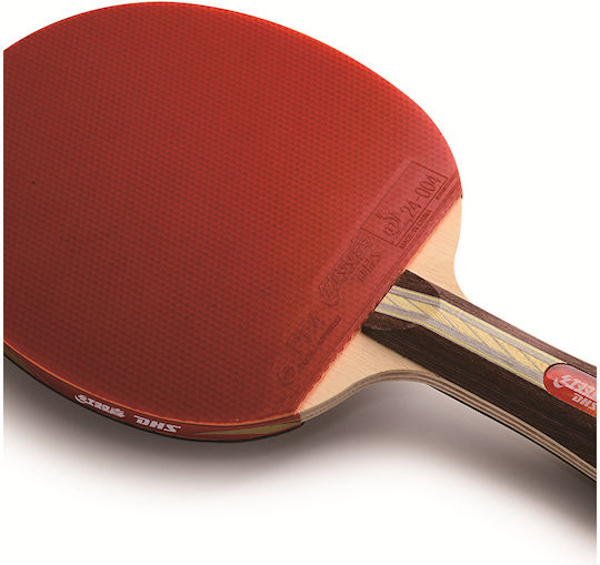 DHS 3002 FL Tischtennisschläger