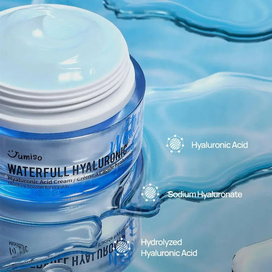 Jumiso Waterfull Hyaluronic Licht Creme Gesicht 50ml