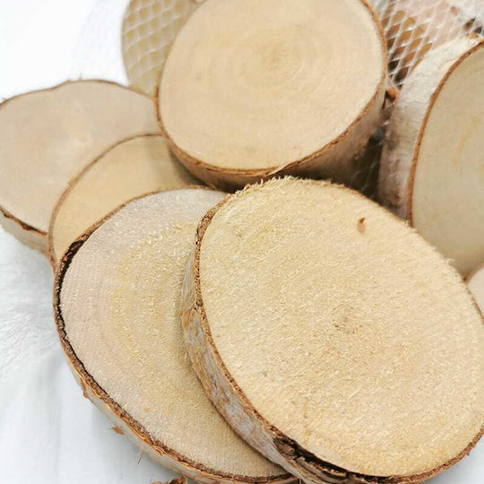 Birch Wood Slices Pack 20 Pieces
