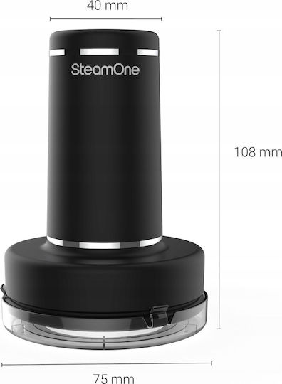 SteamOne Sn300b + Rp10b Hand Garment Steamer 2000W with 300ml Tank Black