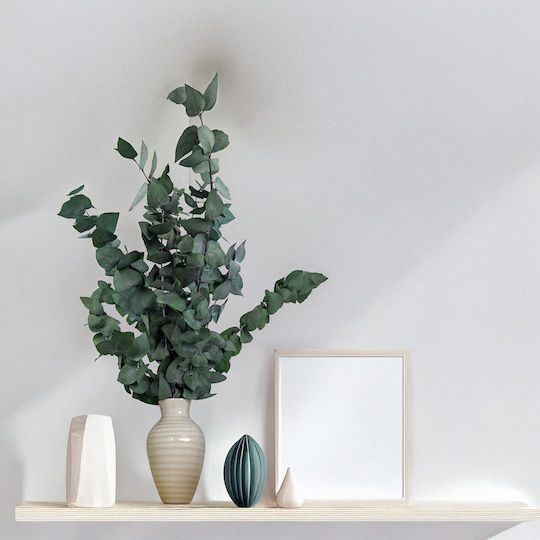 Stabilized Eucalyptus Stuartiana Green