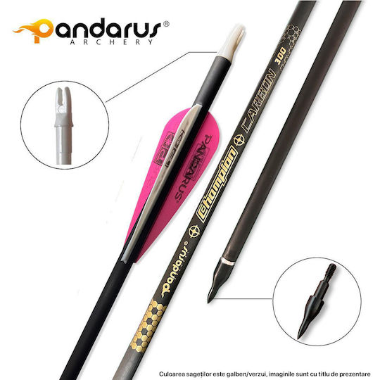 Set 12 Săgeți Arc Compound 6.2 Mm Ax Fibra De Carbon Spine 300 Lungime 32 Inch 27 Gr Săgeată Pandarus