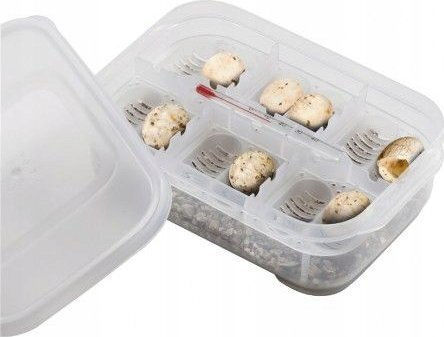 Exo Terra Кутия За Инкубация 16,5 X 11 X 5см