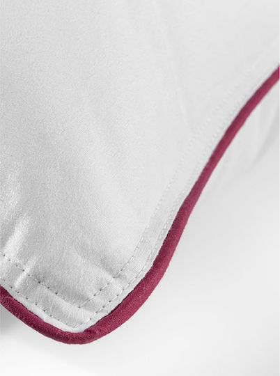 Hotel Cotton 50x70cm Hotel Cotton 50x70cm