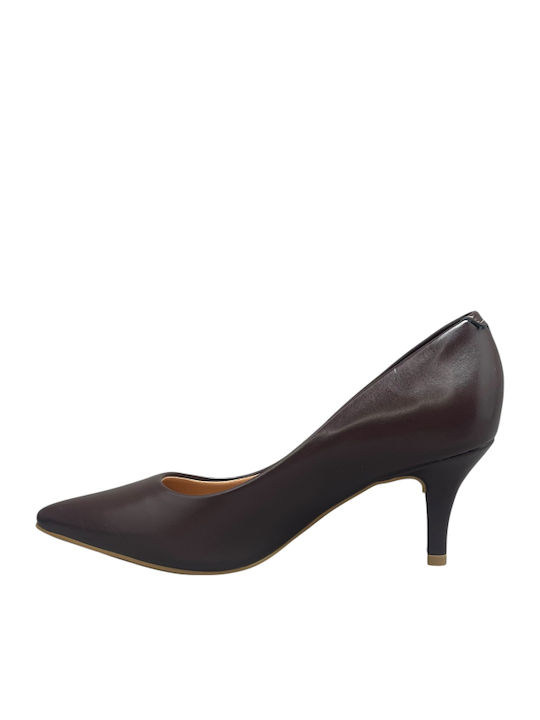 Pointed Toe Heels with Medium Brown Heel