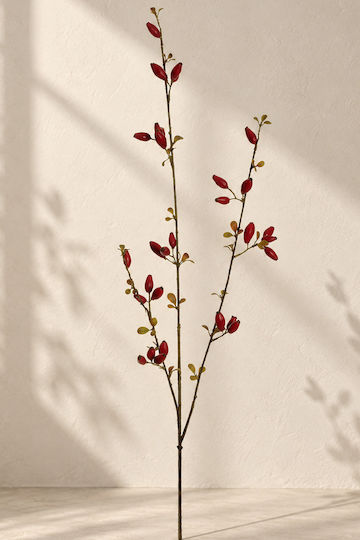 Κλαδι Κοκκινα Κυνοροδα 0x0x83cm Μονόχρωμο Evergreens