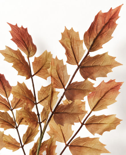 Mahonia Branch Brown Foliage 0x0x106cm Monochrome Evergreens