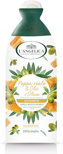 L' Angelica Nourishing Shampoos Reconstruction/Nourishment & Hydration for Damaged Hair 250ml