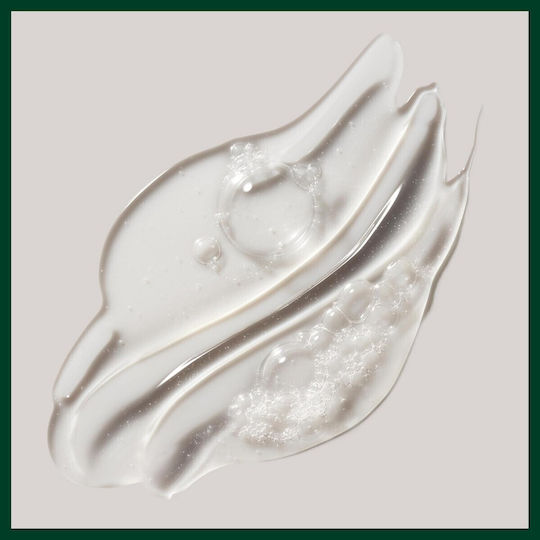 Aveda Rosemary Mint Shampoos Reconstruction/Nourishment & Hydration for All Hair Types 50ml