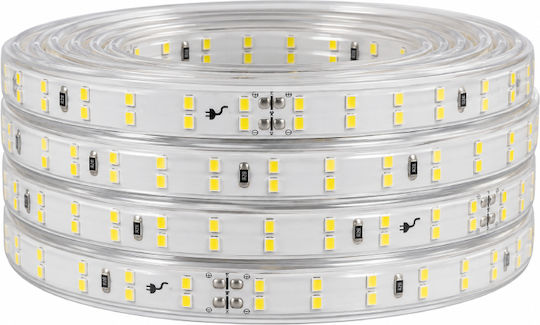 LED Strip 100m SMD2835 Type