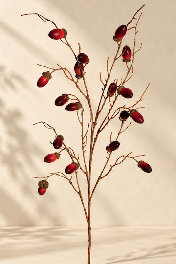 Κλαδι Μπορντο Βελανιδια 0x0x107cm Μονόχρωμο Evergreens