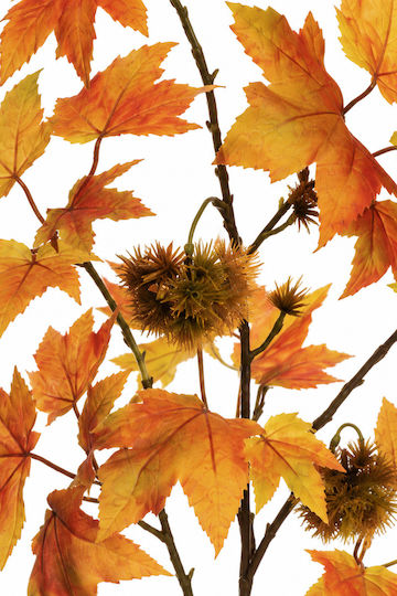 Maple Branch Yellow Leaves Fruits 0x0x112cm Monochrome Evergreens