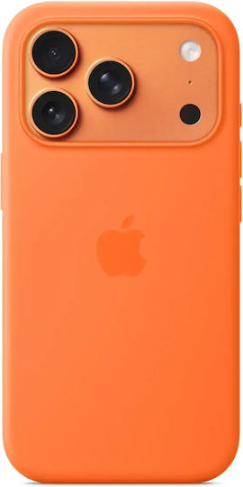 JT Berlin Back Cover Transparent (iPhone 16 Pro)