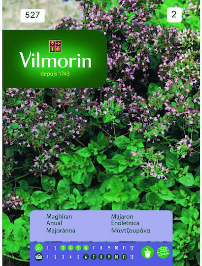 Vilmorin Семена Майоранаς