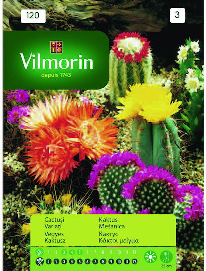 Vilmorin Seeds Cactus Green