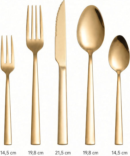 Dinox Porto Cutlery Set Gold Shiny 60pcs