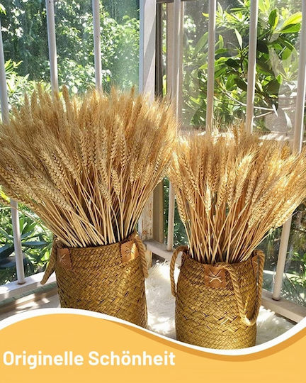 Set 50 Buchete De Grâu Uscat Natural Decorațiuni Buchete De Flori Uscate Stil Boem Rustic Plante Naturale Decorațiuni Nuntă Mese Festive Decor Interior Casă