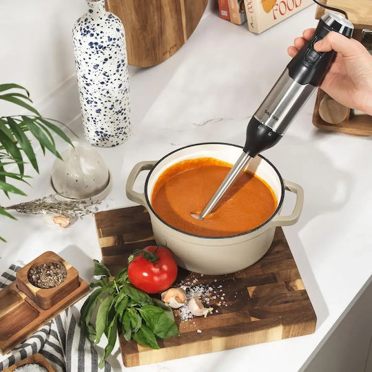 Salter Handmixer mit Inox-Stab 600W Graue