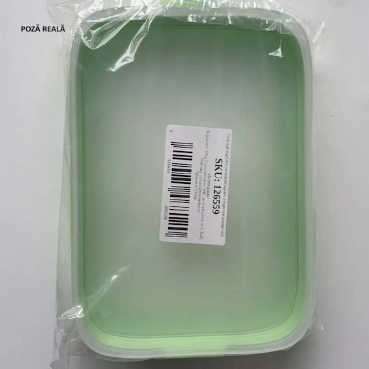 Cutie De Prânz Din Plastic Verde 22x14.7cm
